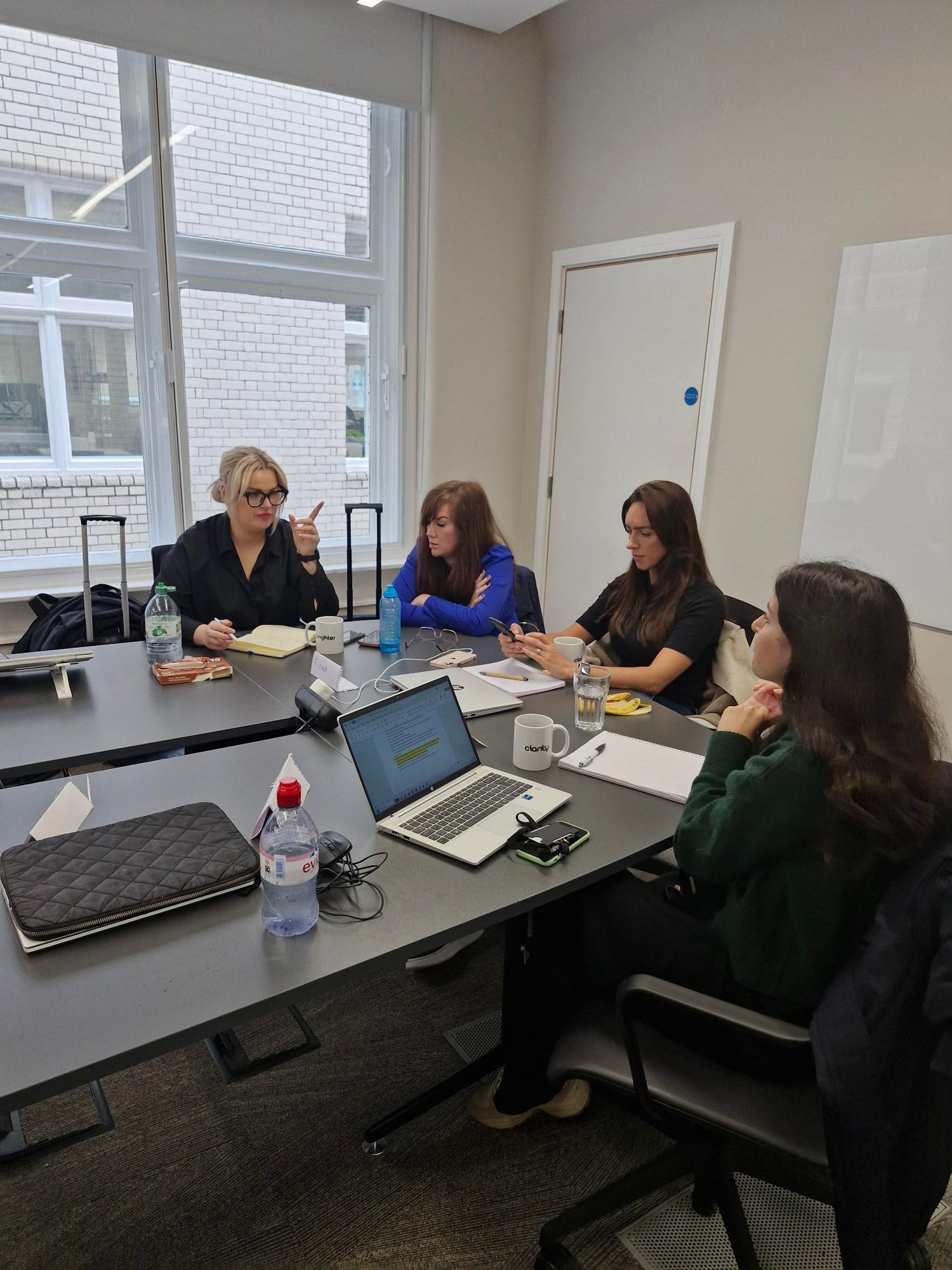 Sustainability consultancy session