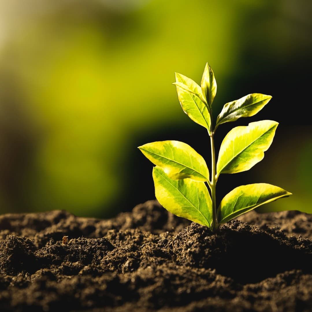 Live training workshop