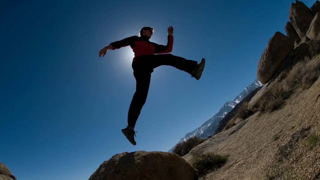 Sustainable Action Plan